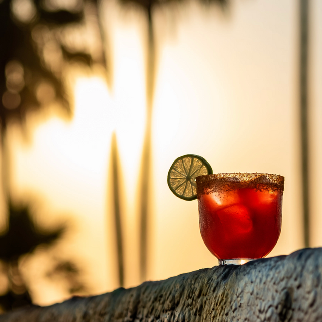 Hepburn Set · 4 Whisky Glasses