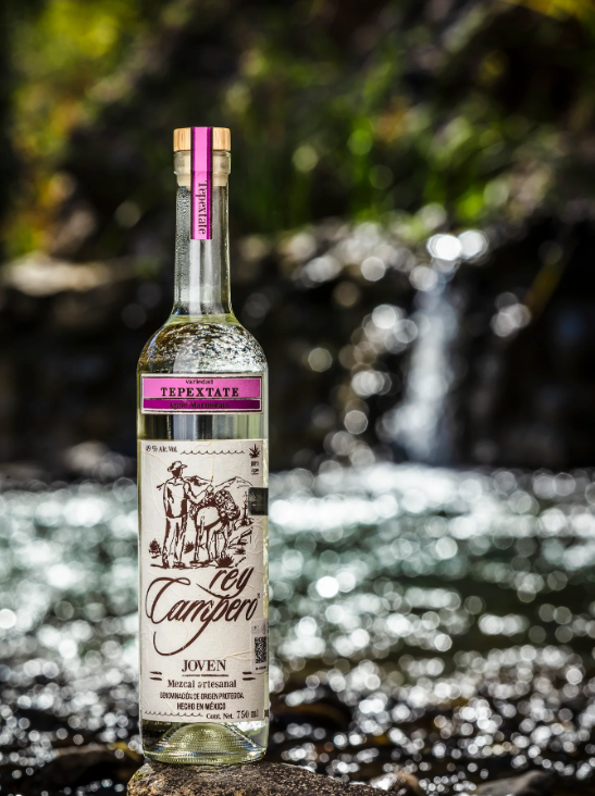 Rey Campero Tepeztate