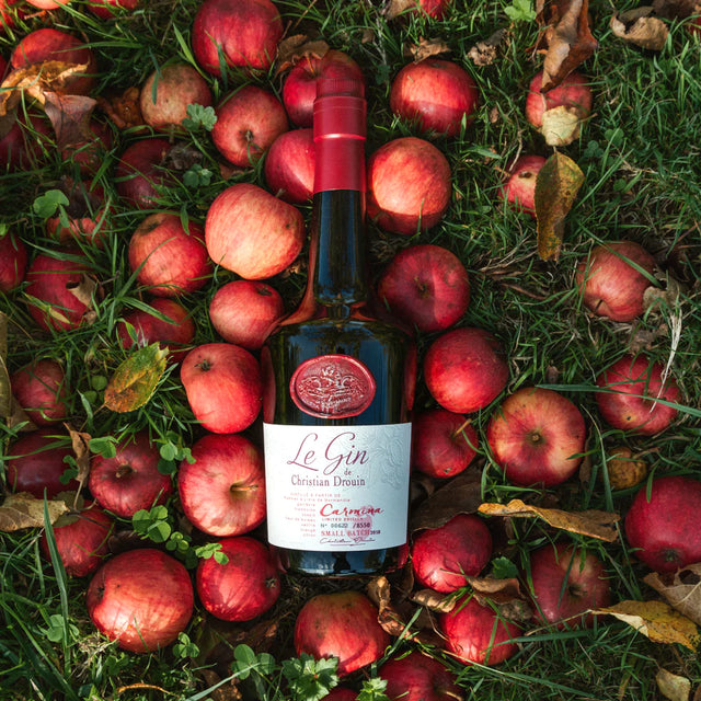 Le Gin Carmina